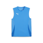 Puma Team Goal Sleeveless Jersey Puma Red-Electric Blue-Lemondae-Puma White-Puma Team Royal (Front)