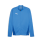 Puma Team Goal Training Jacket for Men