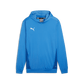 Puma Men's Team Goal Training Hoody