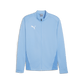 Puma Team Goal Training Jacket for Men