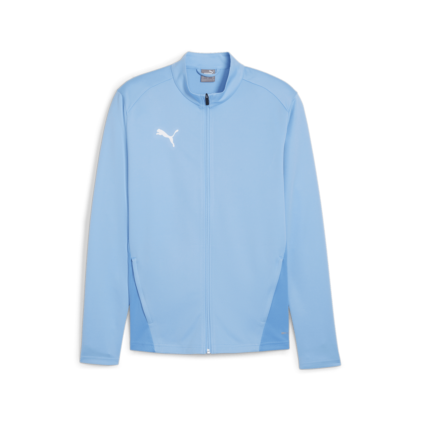 Puma Team Goal Training Jacket for Men