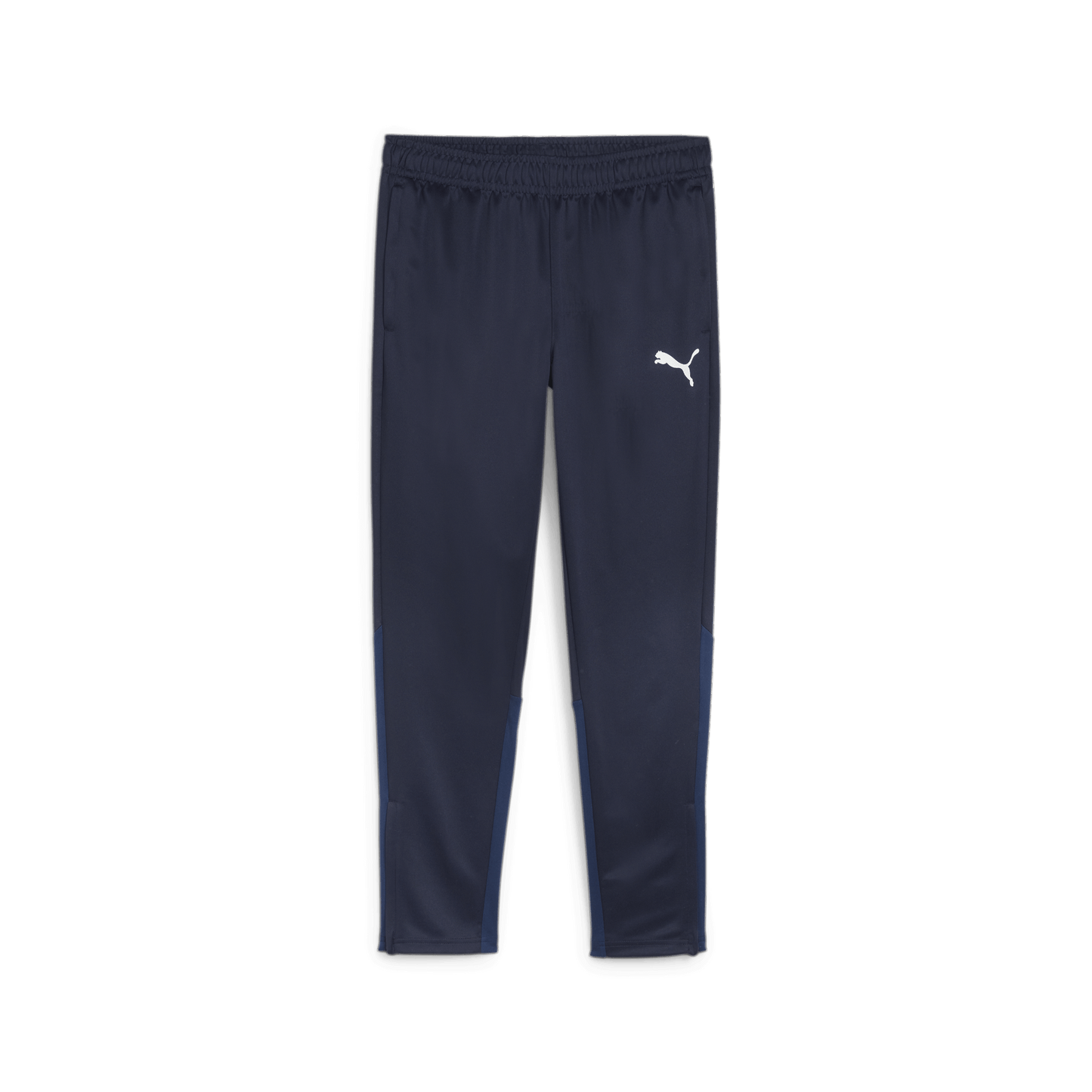 Puma Men's Team Goal Training Pants