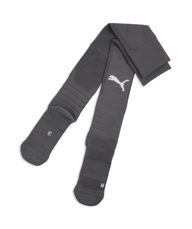 Puma TeamLIGA 26 Sock