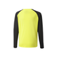Puma Team Pacer GK Jersey Fluo Yellow-Black (Back)