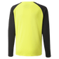 Puma Team Pacer GK Jersey Fluo Yellow-Black (Back)