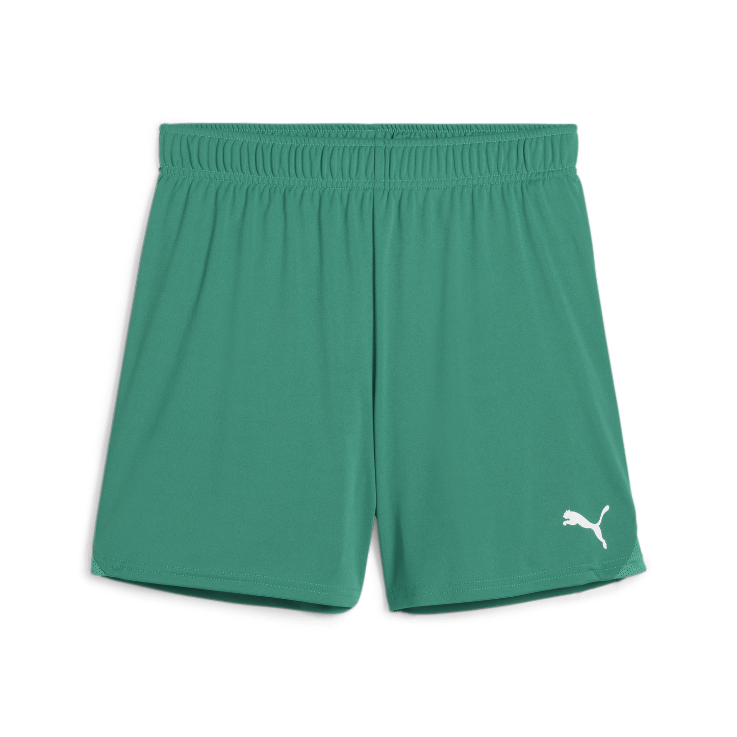 Puma WOMEN'S Team Goal Shorts