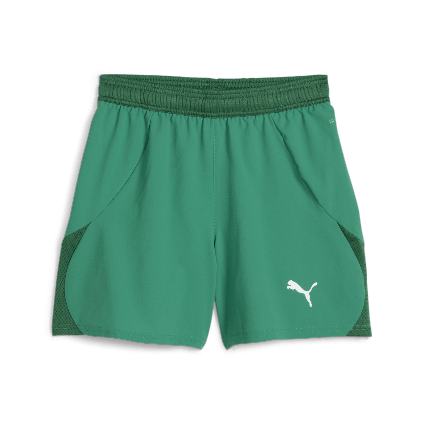 Puma WOMEN'S Team Goal-Sport Green-Puma White-Power Green