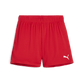 Puma WOMEN'S Team Goal Shorts