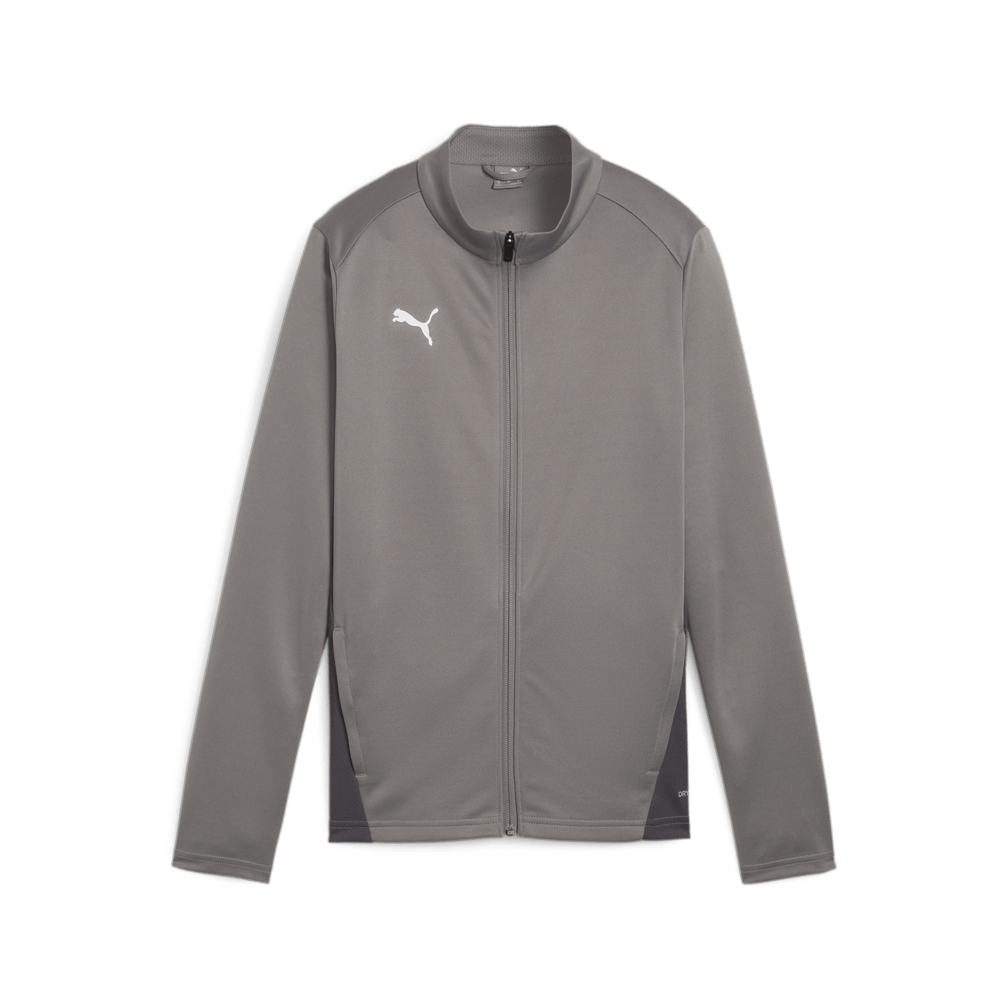 Puma WOMEN'S Team Goal Training Jacket