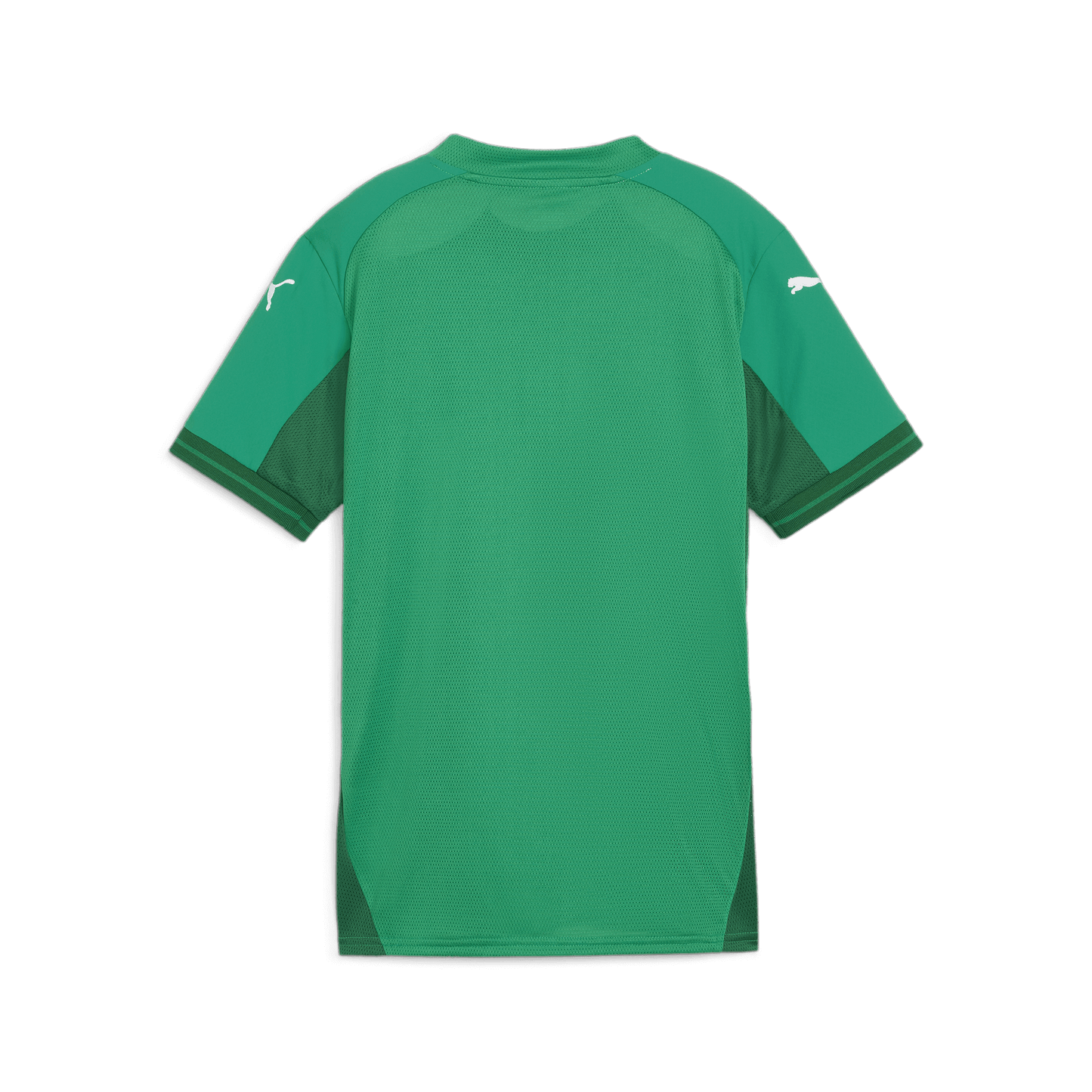 Puma Women's Team Final Jersey-Sport Green-Puma White-Power Green (Back)