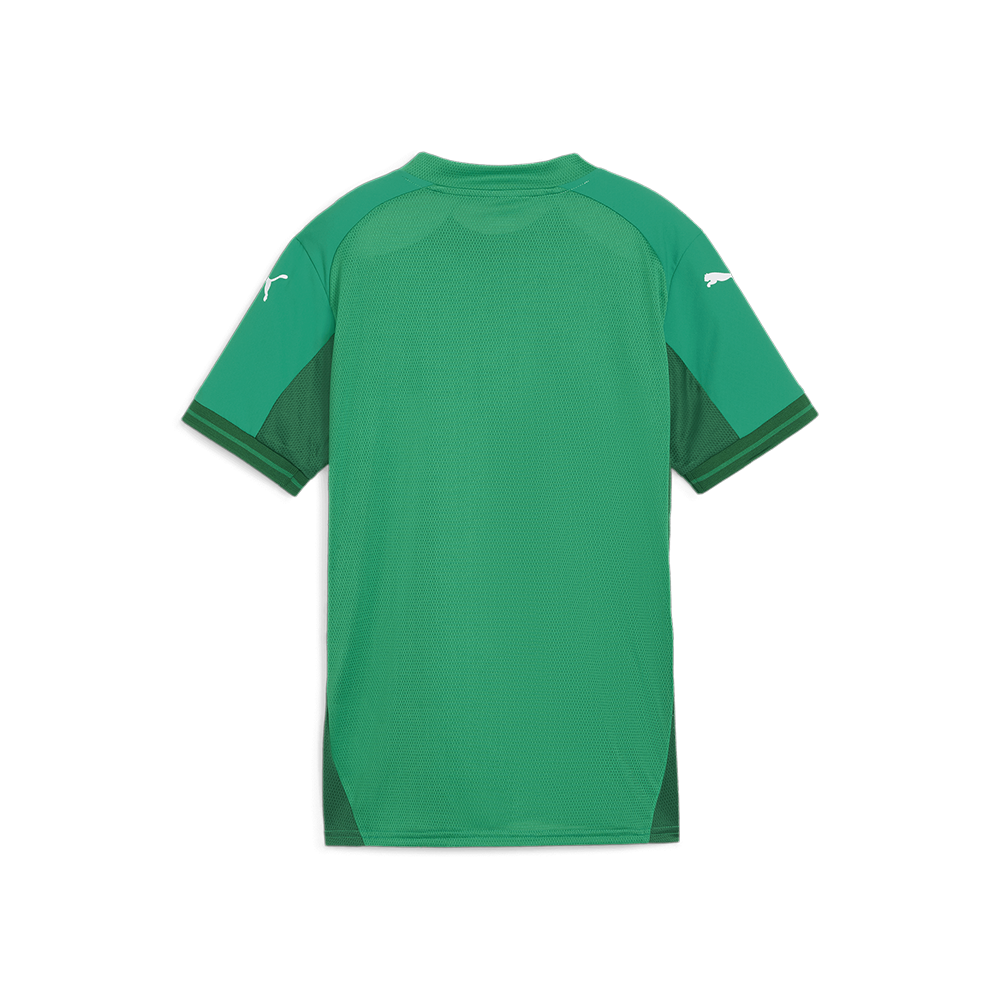 Puma Women's Team Final Jersey – Pro Soccer Team Store