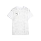 Puma Women's Team Ultimate Jersey