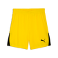 Puma Women’s TeamLIGA 26 Shorts