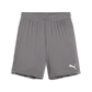 Puma YOUTH Goal Shorts-Cast Iron-Puma White 