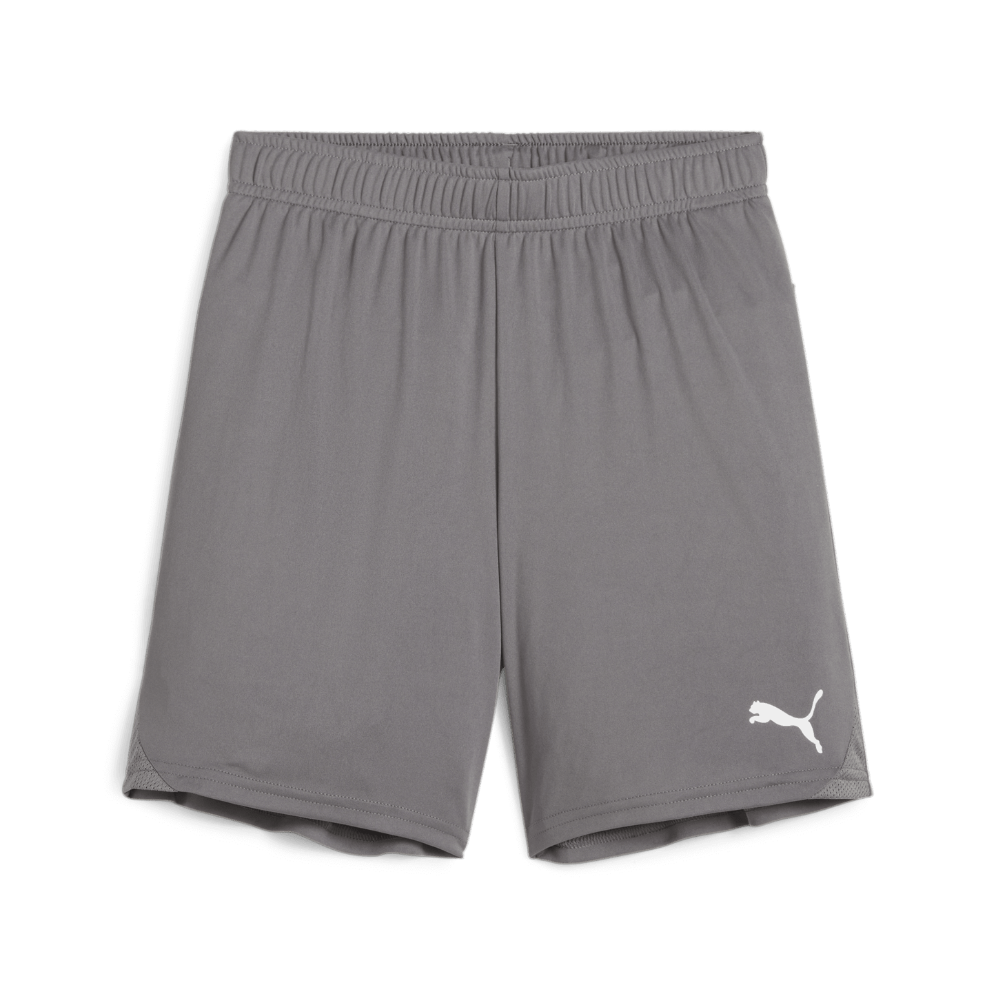 Puma YOUTH Goal Shorts-Cast Iron-Puma White 