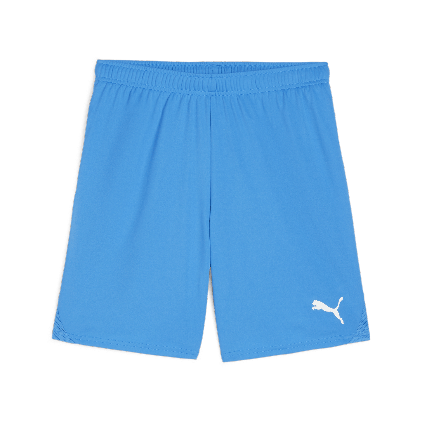 Puma YOUTH Team Goal Shorts