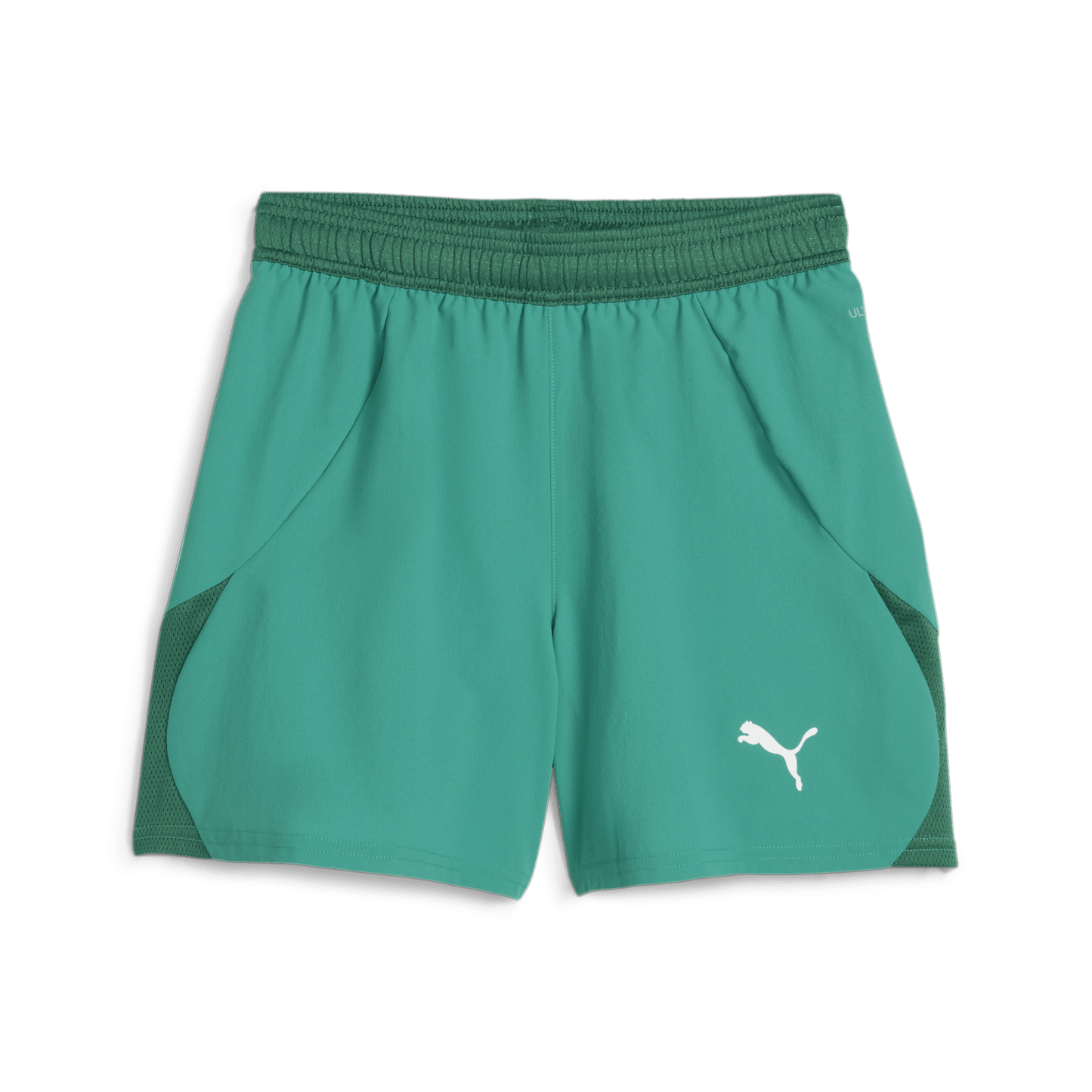 Puma YOUTH Team Goal-Sport Green-Puma White-Power Green