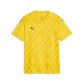 Puma YOUTH Team Goal 26 Jersey-Faster Yellow-Puma Black-Yellow Sizzle (Front)