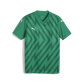Puma YOUTH Team Goal 26 Jersey- Sport Green-Puma  White-Power Green.(Front) png