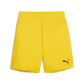 Puma YOUTH Team Goal Shorts-Faster Yellow-Puma Black 