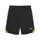 Puma YOUTH Team Goal Shorts-Puma Black-Faster Yellow 