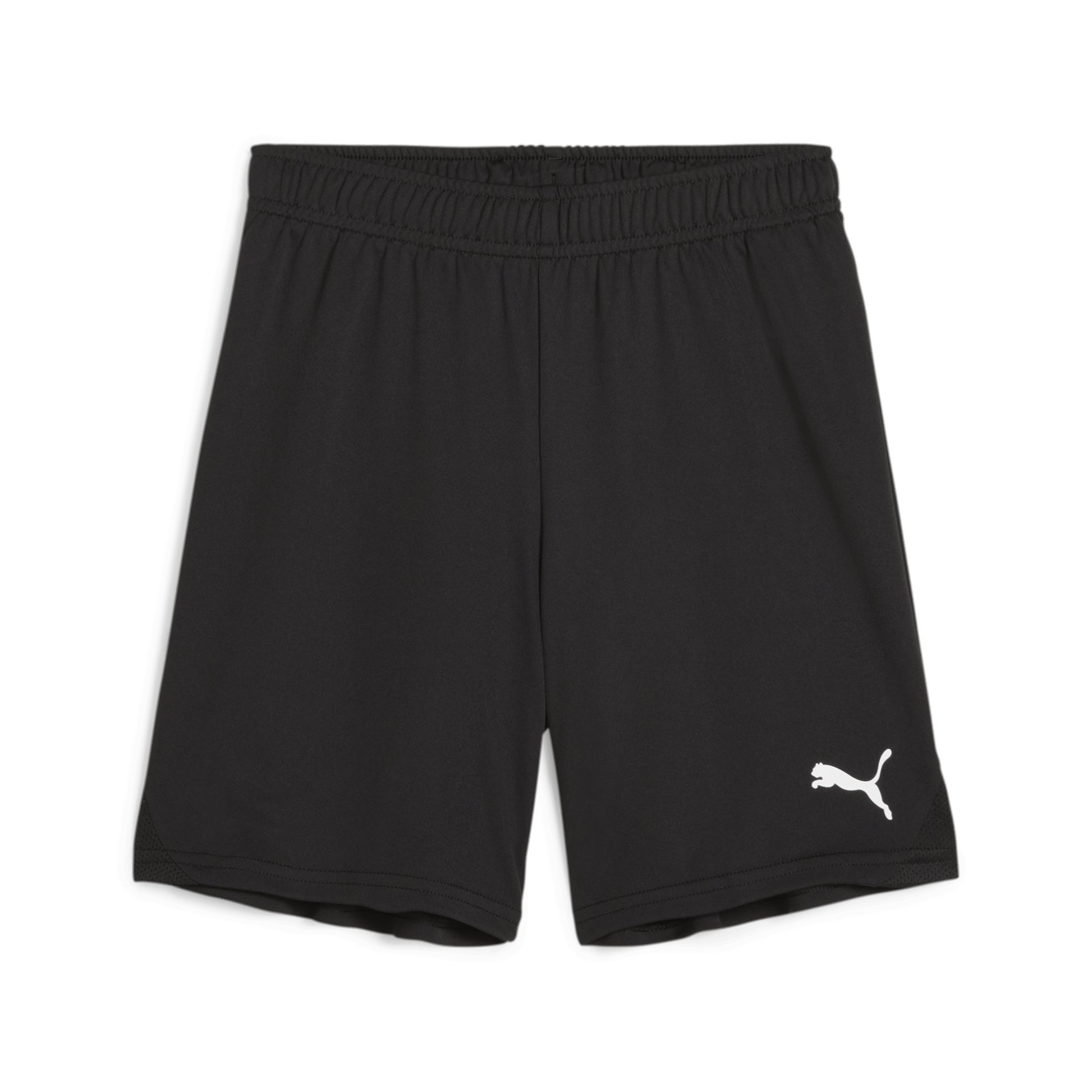 Puma YOUTH Team Goal Shorts-Puma Black-Puma White.