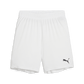 Puma YOUTH Team Goal Shorts-Puma White-Puma Black 