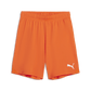 Puma YOUTH Team Goal Shorts-Ricki Orange-Puma White 