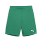 Puma YOUTH Team Goal Shorts-Sport Green-Puma White  