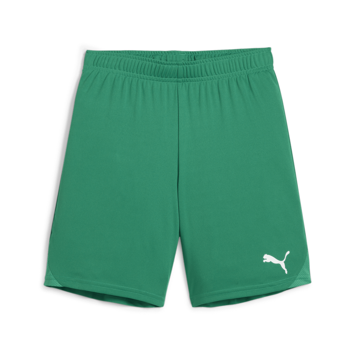 Puma YOUTH Team Goal Shorts-Sport Green-Puma White  