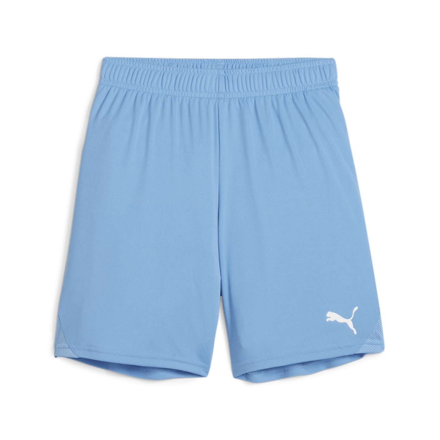 Puma YOUTH Team Goal Shorts