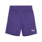 Puma YOUTH Team Goal Shorts