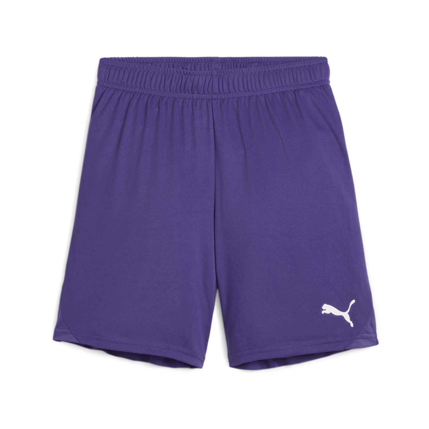 Puma YOUTH Team Goal Shorts