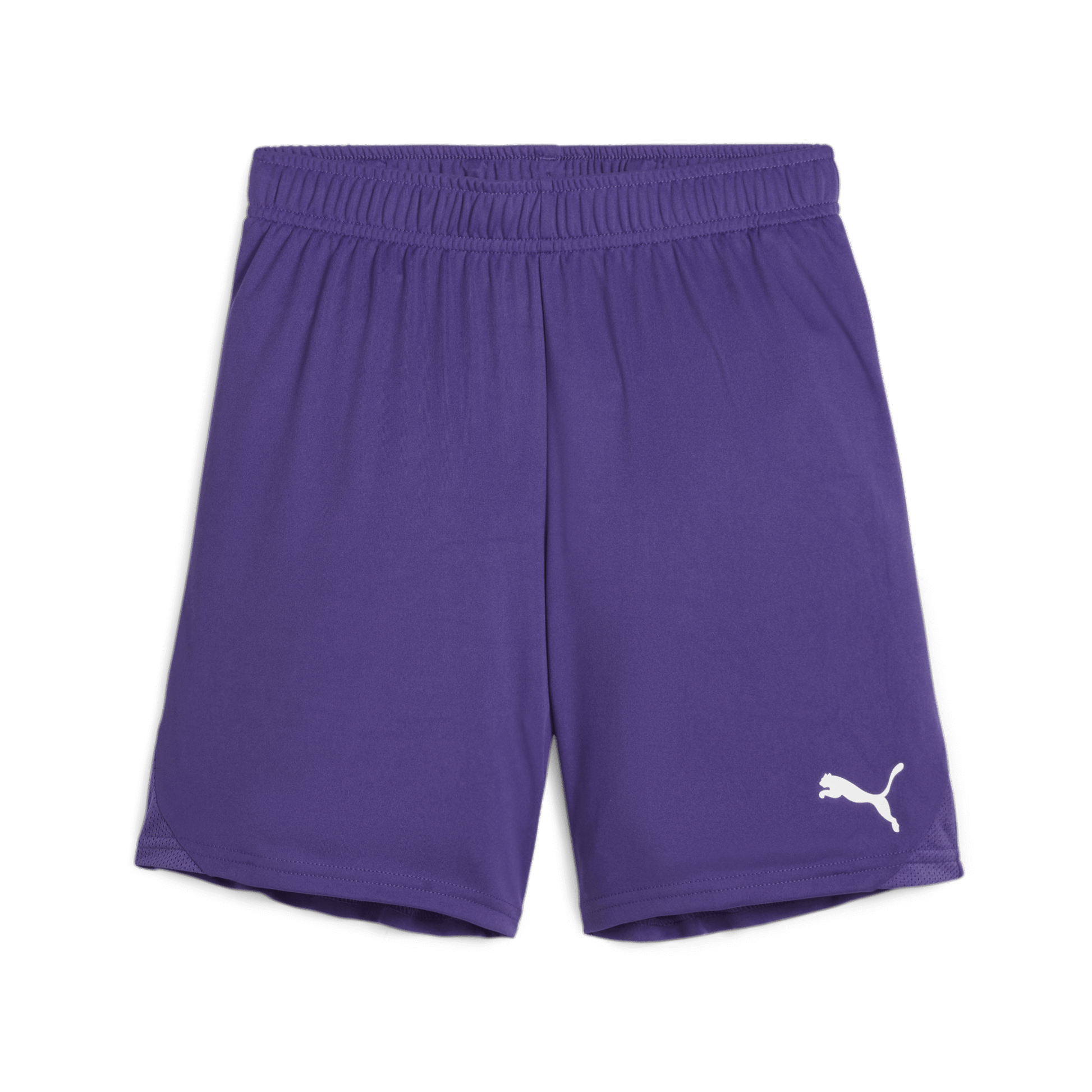 Puma Youth Team Goal Shorts Pro Soccer Team Store