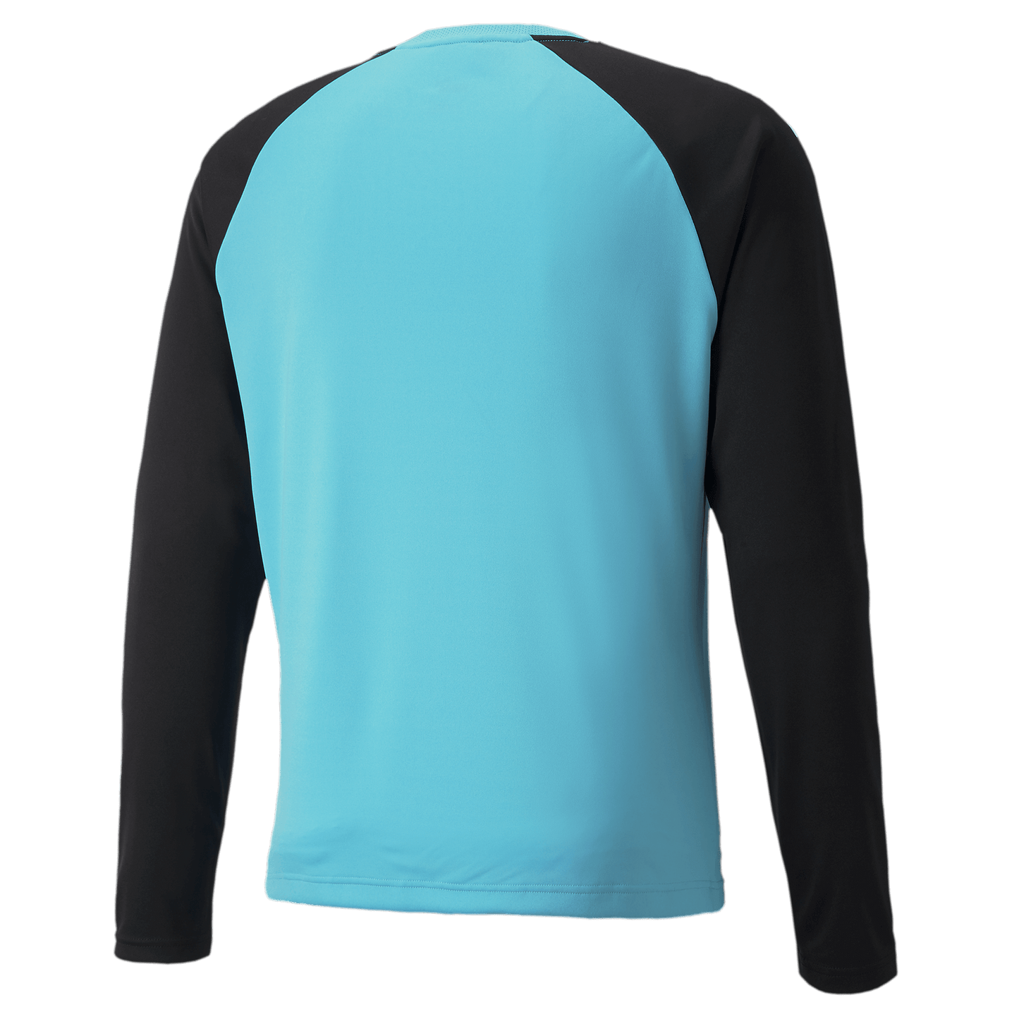 Puma YOUTH Team Pacer GK Jersey Blue Atoll-Black (Back)