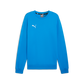 Puma Youth TEAMGOAL Casuals Crew Neck