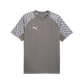 Puma Youth TeamLIGA 26 Jersey / Training