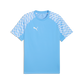 Puma Youth TeamLIGA 26 Jersey / Training