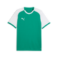 Puma Youth TeamLIGA 26 Matchday Jersey