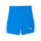 Puma Youth TeamLIGA 26 Shorts