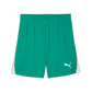 Puma Youth TeamLIGA 26 Shorts