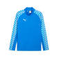 Puma Youth TeamLIGA 26 ¼ Zip Training Top