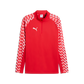 Puma Youth TeamLIGA 26 ¼ Zip Training Top