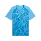 Puma Youth Teamfinal Graphic Jersey Puma