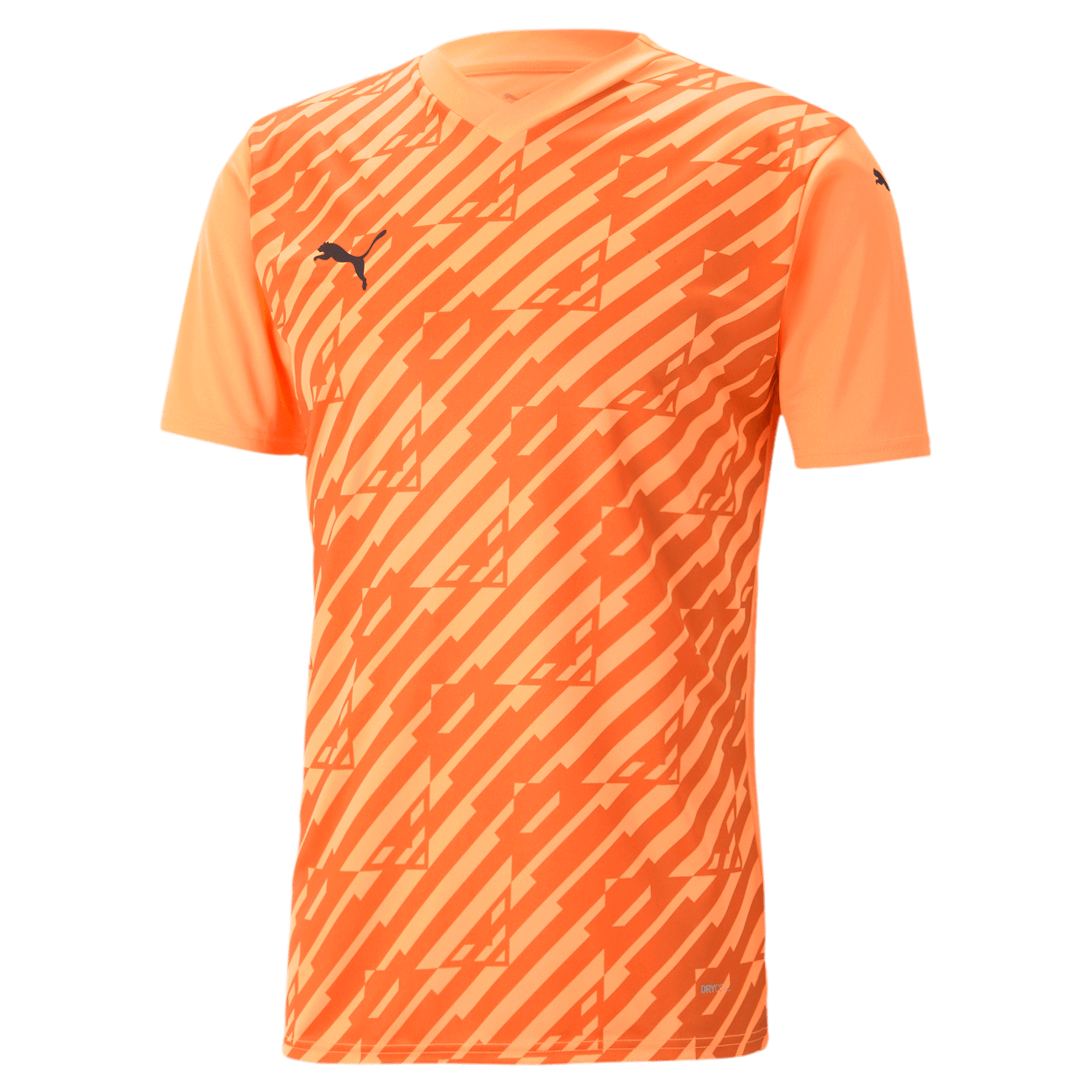 Puma Team Ultimate Jersey