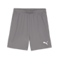 Puma Men's Team Goal Shorts