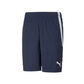 Puma Men's Team Liga 25 Shorts