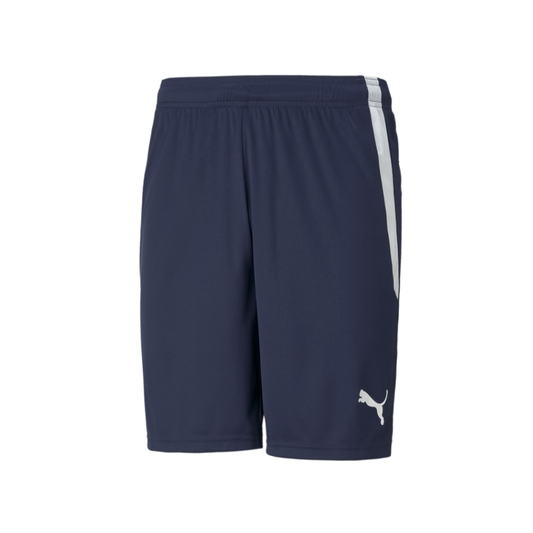 Puma Men's Team Liga 25 Shorts