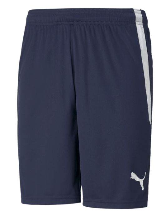 Puma Men's Team Liga 25 Shorts