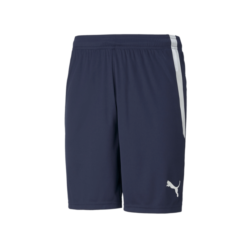 Puma  Youth Team Liga 25 Shorts